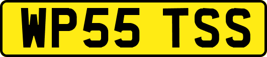 WP55TSS