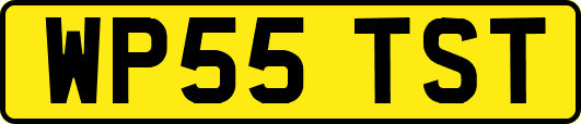 WP55TST