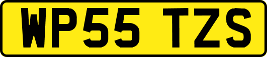 WP55TZS