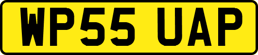 WP55UAP