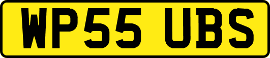 WP55UBS