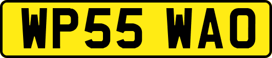 WP55WAO