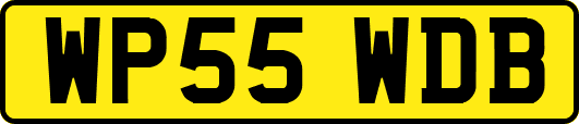 WP55WDB