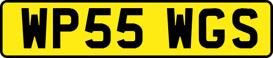WP55WGS