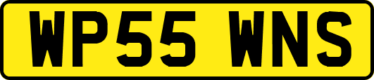WP55WNS