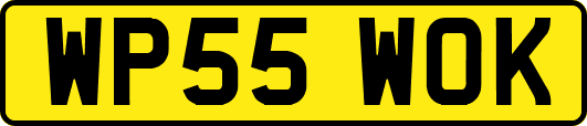 WP55WOK