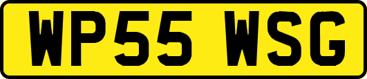 WP55WSG