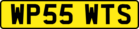 WP55WTS