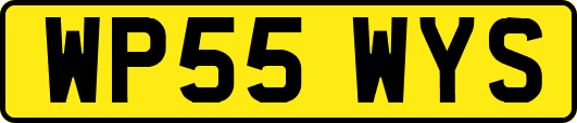 WP55WYS