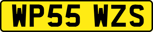 WP55WZS