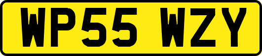 WP55WZY