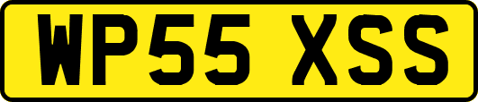 WP55XSS