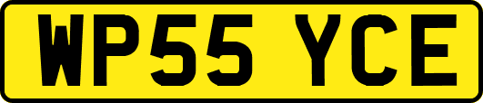 WP55YCE