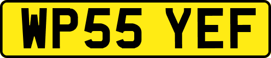 WP55YEF