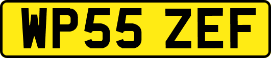 WP55ZEF