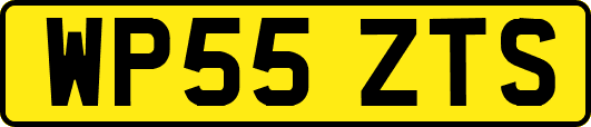 WP55ZTS