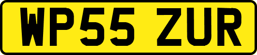 WP55ZUR