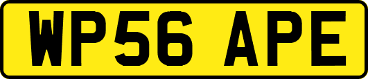 WP56APE