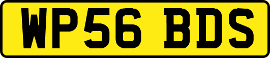 WP56BDS