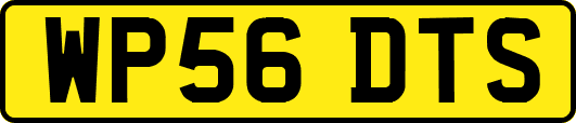 WP56DTS