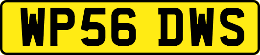 WP56DWS