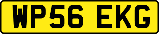 WP56EKG