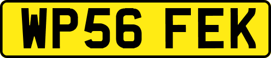 WP56FEK