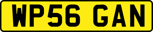 WP56GAN
