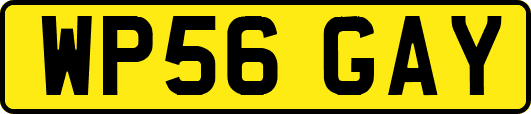 WP56GAY