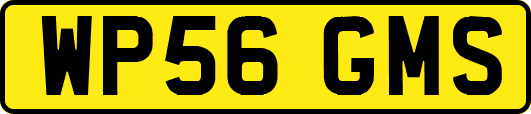 WP56GMS
