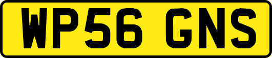WP56GNS