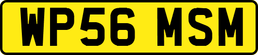 WP56MSM