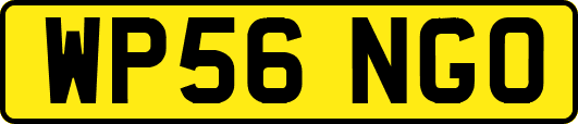 WP56NGO