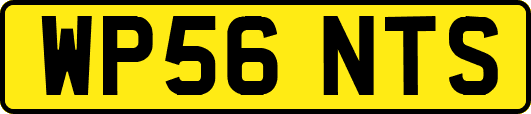 WP56NTS