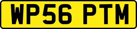 WP56PTM
