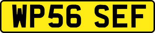 WP56SEF