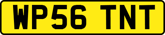 WP56TNT