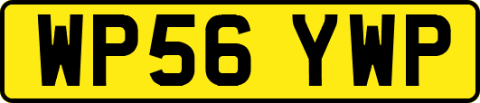 WP56YWP