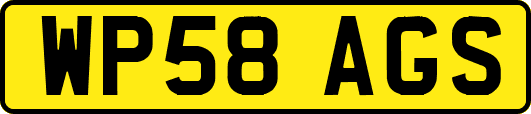 WP58AGS