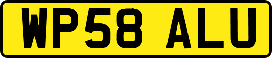 WP58ALU