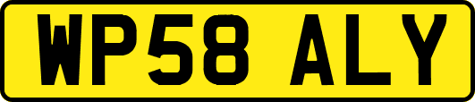 WP58ALY