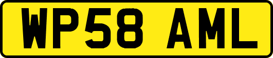 WP58AML