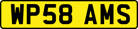 WP58AMS