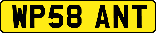 WP58ANT