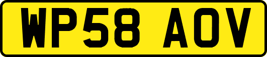 WP58AOV