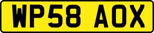 WP58AOX