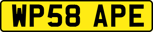 WP58APE