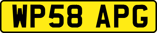 WP58APG