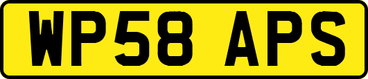 WP58APS