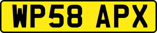 WP58APX